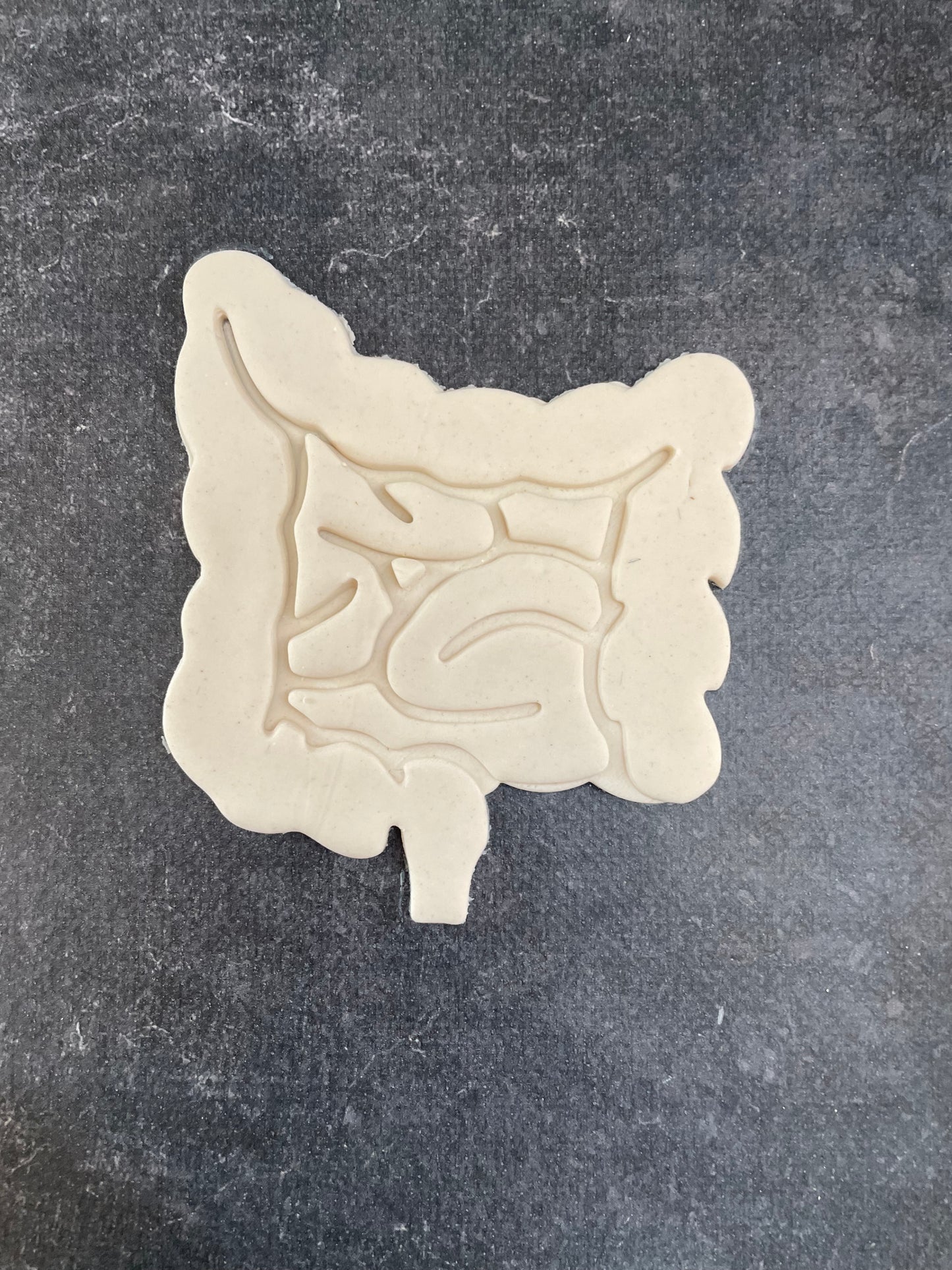 Emporte pièce intestin humain - Forme - pour la réalisaton de biscuit sablé, patisserie, pate à sucre -Décoration gateau-Fait maison- ELACE