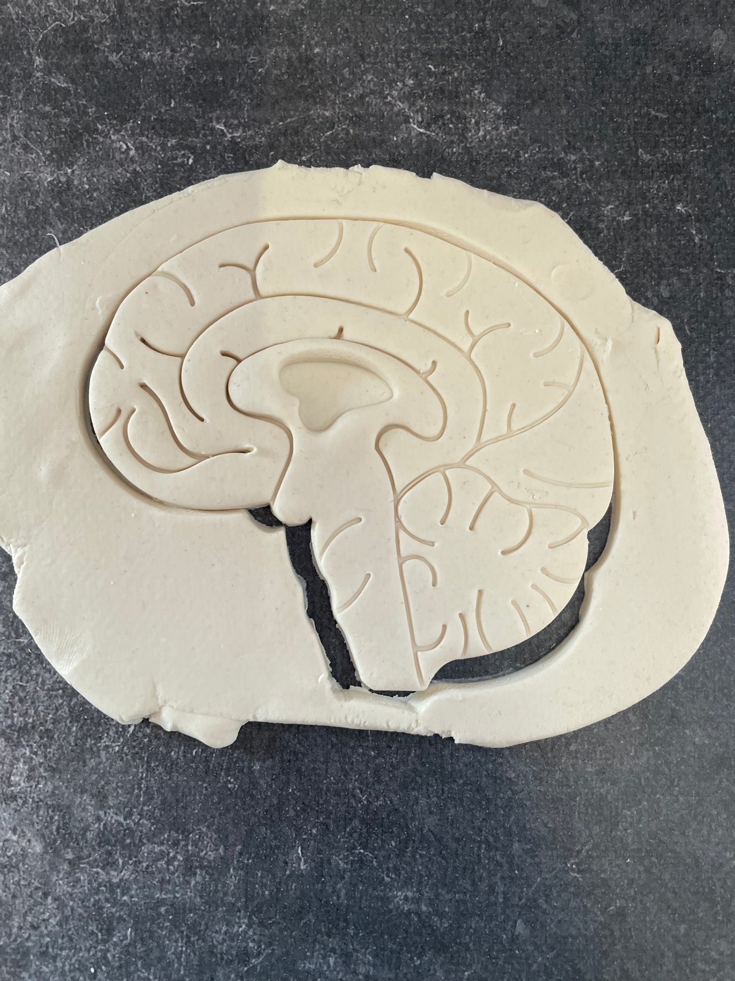 Emporte pièce cerveau humain - Forme - pour la réalisaton de biscuit sablé, patisserie, pate à sucre -Décoration gateau-Fait maison- ELACE