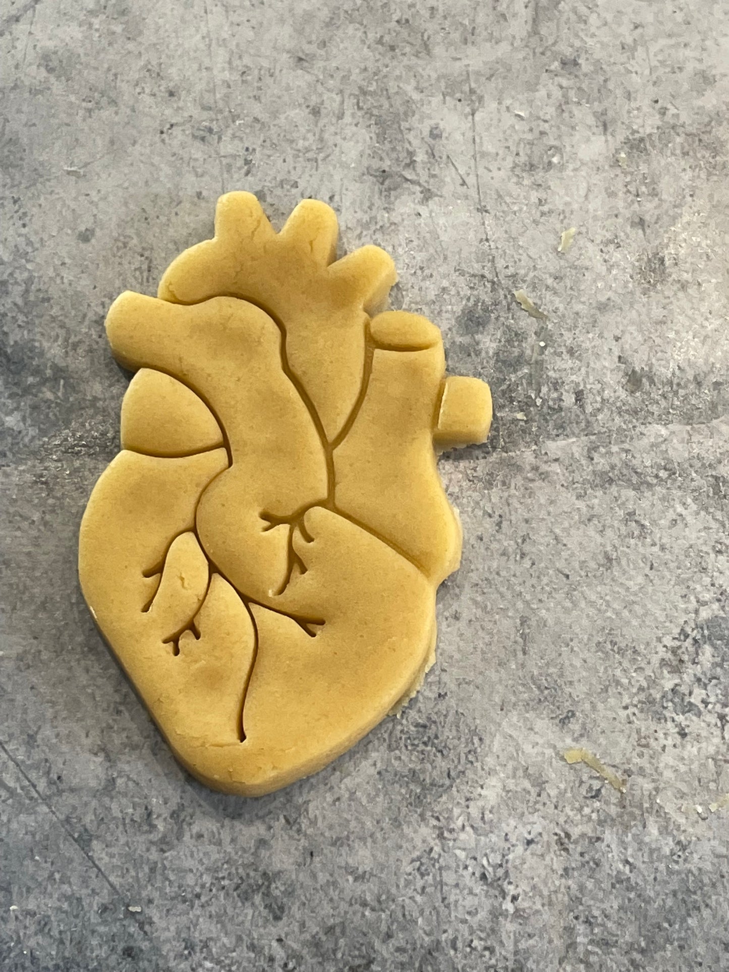 Emporte pièce Cœur Anatomie- Forme - pour la réalisaton de biscuit sablé, patisserie, pate à sucre -Décoration gateau-Fait maison- ELACE