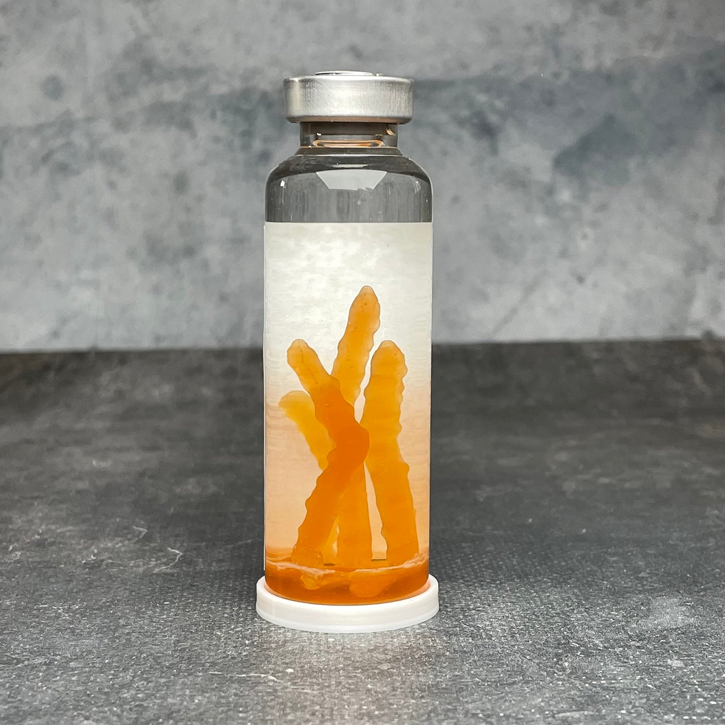 ELACE Fiole Cordyceps The Last of Us Représentation d'un Virus pour Utilisation Fan Art Cosplay Collection