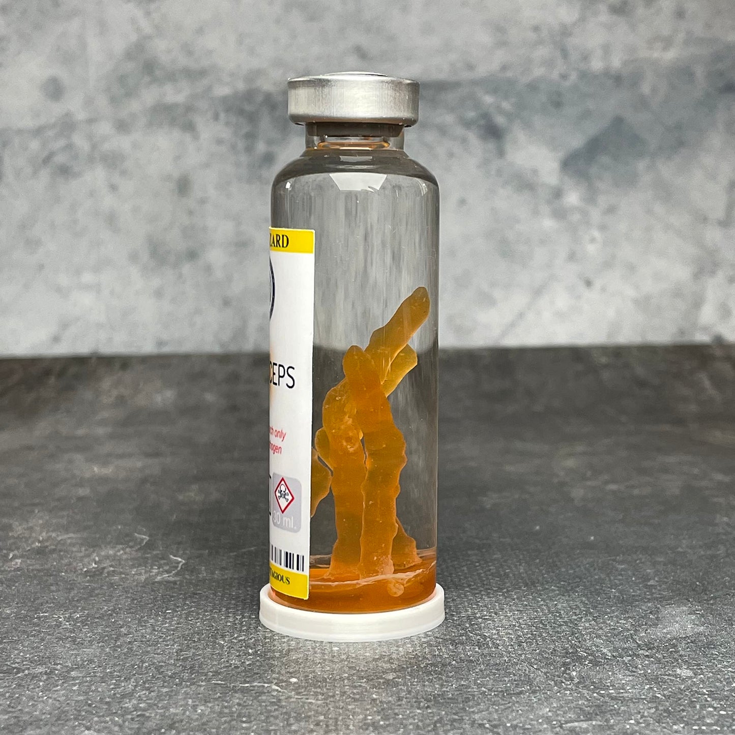 ELACE Fiole Cordyceps The Last of Us Représentation d'un Virus pour Utilisation Fan Art Cosplay Collection